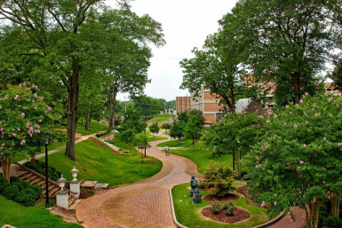 brick walkways shaded by large trees