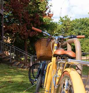 Bike with basket parked on campus